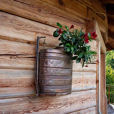 Alpstuga Alabama Arsie